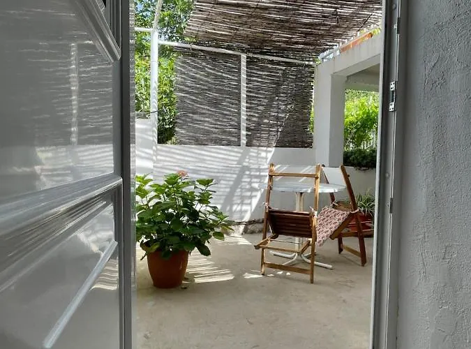 Апартаменты Tree *